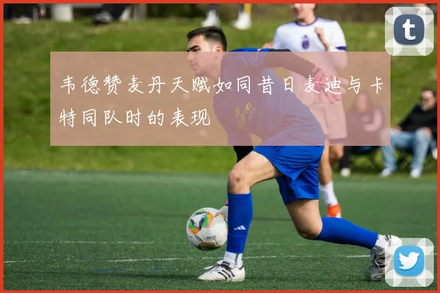 韦德赞麦丹天赋如同昔日麦迪与卡特同队时的表现